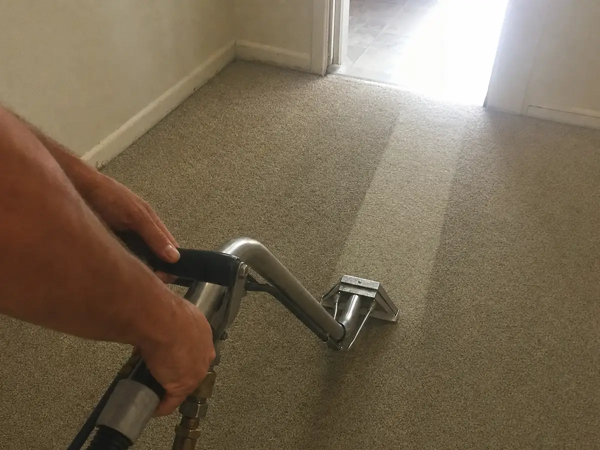 Steam Carpet Cleaning in Marina Del Rey, CA